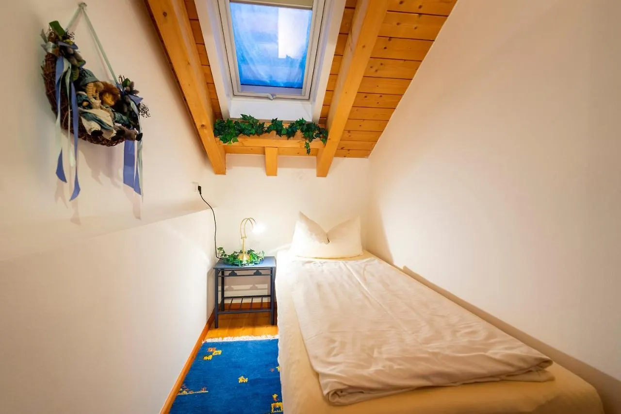Apartment Ferienwohnung Edelweiss Mit Bergbahn Unlimited Obermaiselstein